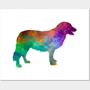 Atlas Mountain Dog in watercolor Posters and Art